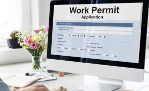 work permit consultant in surrey
